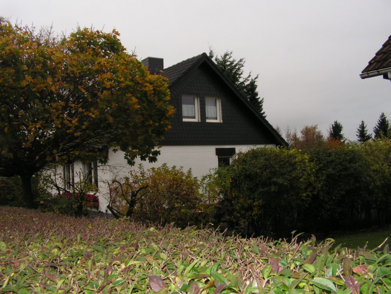 Nacher